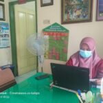 Waspada DBD, Perawat Desa di Tulungagung Sebut Lingkungan Kumuh, Ada Apa?