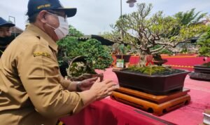 Pameran dan Kontes Bonsai Nasional 2022, Bupati Tulungagung: Ilustrasi Pengembangan Sumber Hayati