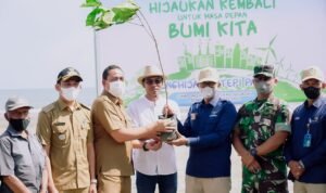 PT PIM Tanam Pohon Ketapang di Pantai Krueng Geukueh Aceh Utara