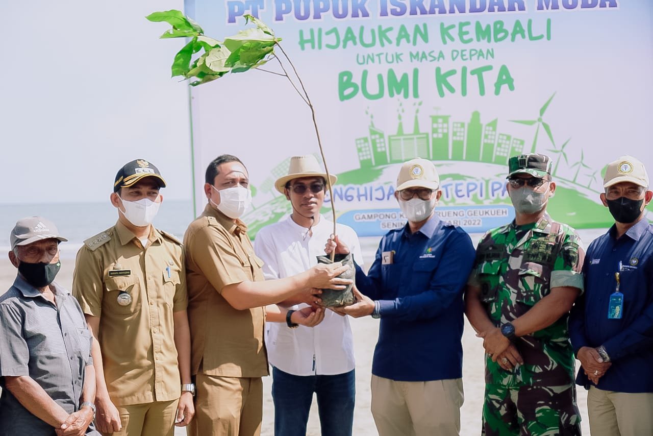 PT PIM Tanam Pohon Ketapang di Pantai Krueng Geukueh Aceh Utara
