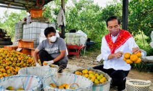 Lagu Indonesia Raya Menggema di Sepanjang Jalan Saat Presiden Jokowi Tinjau Kampung Jeruk