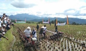 Tepati Janji Kampanye, Bupati Dan Wabub Tanah Datar Launching Program Bajak Gratis