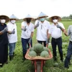 Begini Cara Pupuk Kaltim Tingkatkan Produktivitas Petani Dukung Ketahanan Pangan