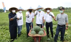 Begini Cara Pupuk Kaltim Tingkatkan Produktivitas Petani Dukung Ketahanan Pangan
