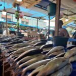 Jelang Ramadhan, Harga Ikan di Mamuju Turun