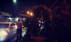 Breaking News, Sebuah Pohon di Depan PT Grand Textile Industry Bandung Roboh