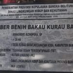 Ketua HKM Bantah Proyek Rehabilitasi Mangrove Manjung Tidak Sesuai Spek