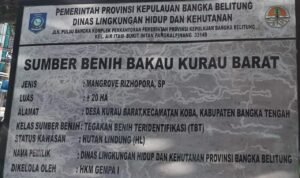 Ketua HKM Bantah Proyek Rehabilitasi Mangrove Manjung Tidak Sesuai Spek