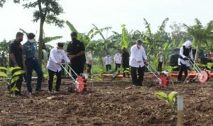 Tinjau Lokasi Program Integrated Farming, Wapres Kunjungi Purwakarta