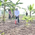 Ridwan Kamil Dampingi Ma’ruf Amin Tinjau Integrated Farming di Purwakarta