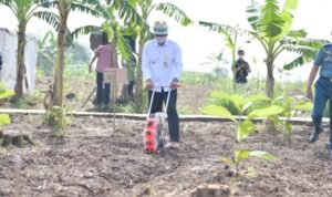 Ridwan Kamil Dampingi Ma’ruf Amin Tinjau Integrated Farming di Purwakarta