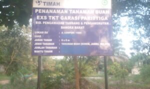 Aktivis Lingkungan Soroti Sejumlah Proyek Reklamasi PT Timah