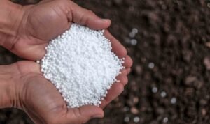 Awas Ada Kandungan Genteng Dalam Pupuk Palsu! Simak Cara Mudah Identifikasi Pupuk Asli dari PKT