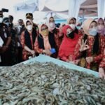 Bupati Aceh Tamiang Sebut Udang Vaname Dapat Bangkitkan Ekonomi Pesisir