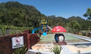 Palanta Pakis Waterpark Tabek Patah Resmi Dibuka Untuk Umum