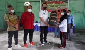 Bupati Kapuas Hulu Serahkan Bantuan Alat Pertanian dan Perkebunan