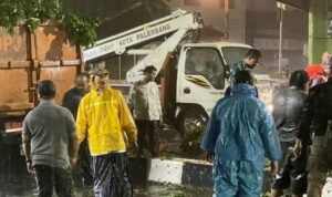 Usai Tarawih, Wali Kota Palembang Tinjau Pohon Tumbang