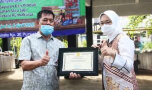 Produksi Padi Naik 7,32 Persen, Dispangtan Purwakarta Dapatkan Penghargaan 