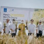 Bupati Karawang Dampingi LBP Panen Padi Bersama