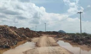 Ini Penampakan Mega Proyek Kawasan Industri Sadai dan Sekitarnya