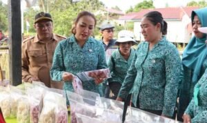 Kunker ke Lebak Najah, Ketua Tim Penggerak PKK Kapuas Hulu Beri Motivasi