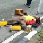 Tabrak Lari, Petugas DKK Kritis 