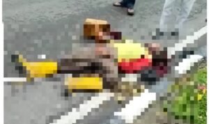 Tabrak Lari, Petugas DKK Kritis 