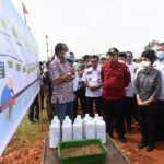 Mina Padi di Lahan Gambut Diuji Coba di Desa Baru