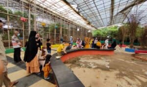 Pengunjung Palembang Bird Park Naik 30 Persen