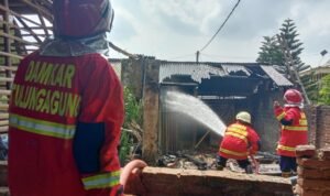 Diduga Kebocoran gas, Kadang Ayam Warga Desa Gilang Ludes Terbakar