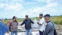 Pembangunan Irigasi Sawah Kepoh Terhenti, Komisi III DPRD Babel Langsung Turun Lapangan