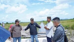 Pembangunan Irigasi Sawah Kepoh Terhenti, Komisi III DPRD Babel Langsung Turun Lapangan