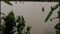 Dinsos Sulbar Minta BPBD Cairkan BTT untuk Korban Banjir
