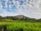 Gunung Api Dempo Letuskan Abu Vulkanik, Berstatus Waspada