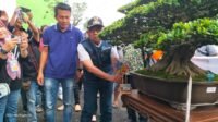 Pameran Bonsai Skala Nasional di Lahat Resmi Dibuka