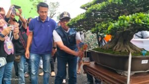Pameran Bonsai Skala Nasional di Lahat Resmi Dibuka