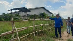 PH Eli Erlina Harapkan Penyidik Bisa Selesaikan Masalah Pemalsuan Surat Tanah di Jalan Nurdin Panji Sukarami