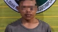 Hendak Transaksi Ganja di Belakang Warkop, Seorang Supir Diamankan Sat Resnarkoba Polres Padangsidimpuan