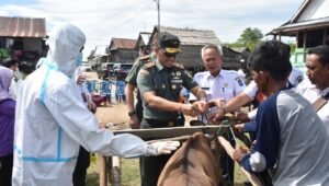 Sigap, Danrem 044/Gapo Pastikan Hewan Bebas PMK di Wilayah OKI Jelang Idul Adha