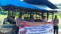 Antisipasi PMK, Polres Padangsidimpuan Gencarkan Cek Kandang Ternak