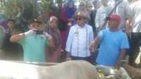 Pemda Tanah Datar Kerjasama Dengan Jasindo Pusat Siapkan 2000 Ekor Sapi Dan 2000 Hektar Untuk Diasuransikan.