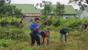 Yonif RK 644/Wls Sulap Lahan Kosong untuk Budidaya Jagung