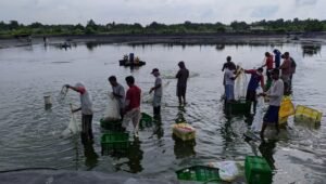 Gubernur Sumsel Harapkan Turun Tangan Untuk Memediasi Warga