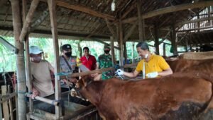 Polres Tulungagung Antisipasi Meluasnya Wabah PMK 