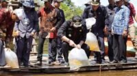 HUT Danau Lindung Empangau ke-22 Tahun, Bupati Kapuas Hulu Lakukan Ini