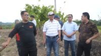 Anggaran Rp400 Juta, Lahan 50 Hektar cuma Hasilkan Rp50 Juta Setahun