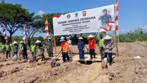 Antisipasi Ancaman Krisis Pangan Global, 5,5 Hektar Lahan Milik TNI Disulap Jadi Kebun Jagung