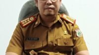 DLH Sulbar Canangkan Penanaman 1 Juta Pohon Mangrove