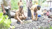 Tinjau Pembibitan Mangrove, Akmal: Edukasi Siswa Mencintai Lingkungan