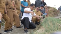 Pj Gubernur Persiapkan Majene Jadi Pusat Pengembangan Food Estate